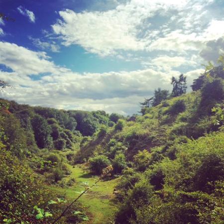 Irchester Country Park