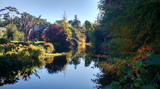 Mount Usher Gardens