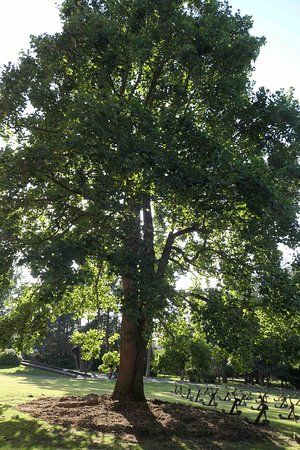 Abbaye Benedictine