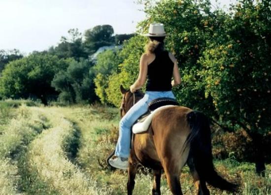 Drapia Horse Farm
