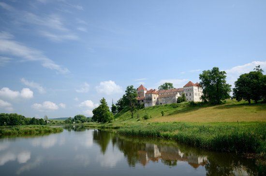 Свірзький замок