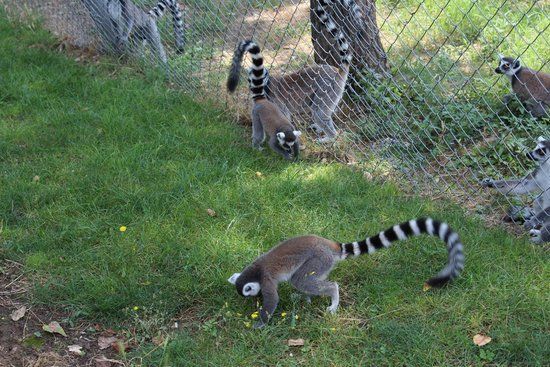 Skopje ZOO