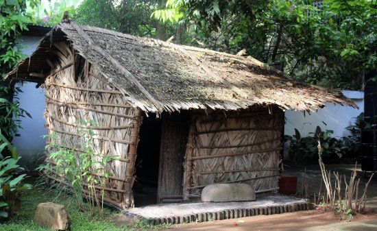 Musee Ethnographique des Peuples de la Foret