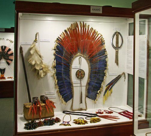 Museum of Indigenous Amazon Cultures