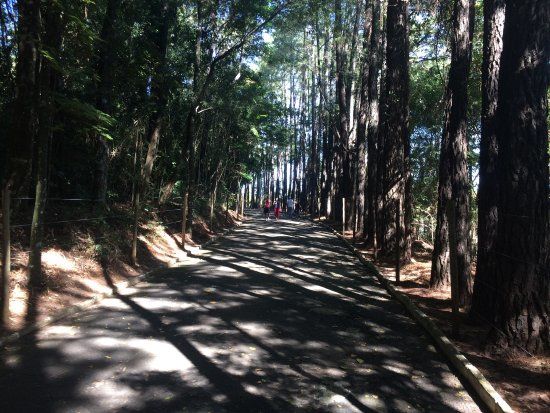 Bosque Municipal Rangel Pietraroia