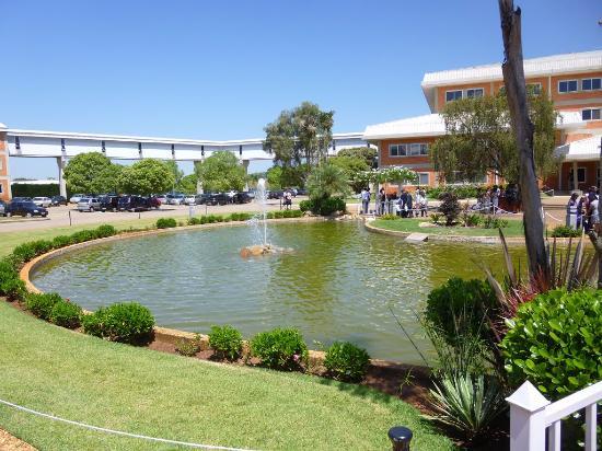 Testemunhas de Jeova