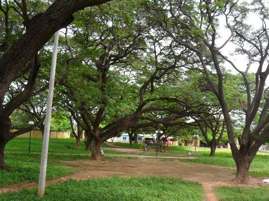 Parque de los Algarrobillos