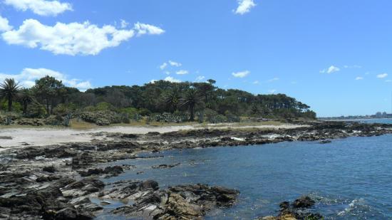 Isla Gorriti