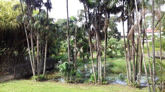Jardin Botanique