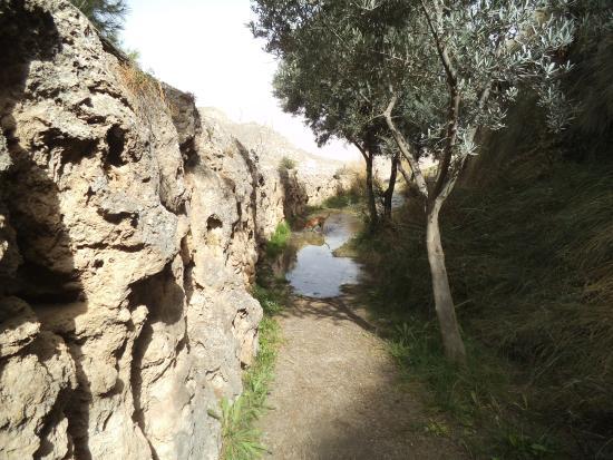 Acueducto Natural de El Toril