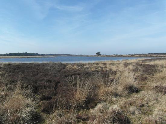 Hijkerveld