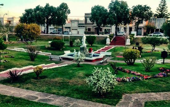 Placita Honda