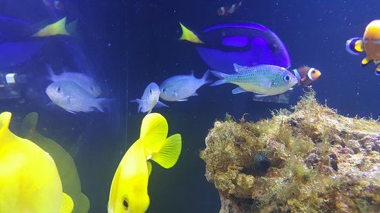 The Achill Experience