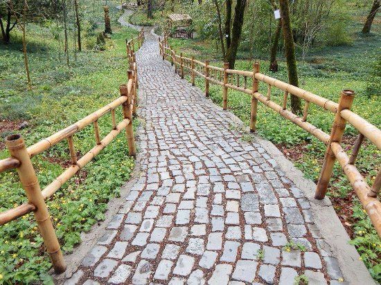 Kutaisi Botanical Garden