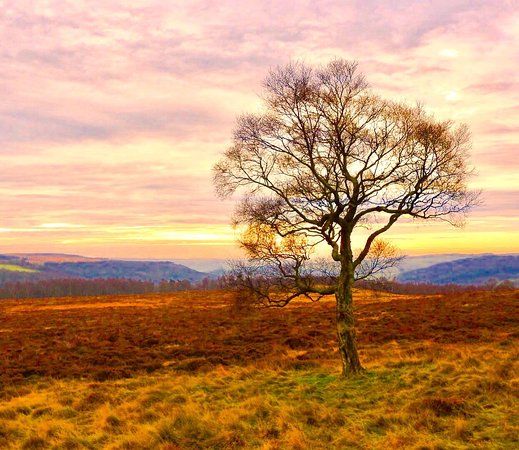 Over Owler Tor
