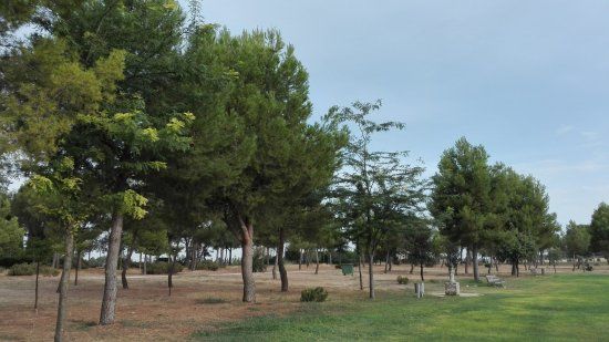 Parque de la Fiesta del Arbol