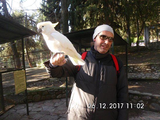 Zoologikos Kipos