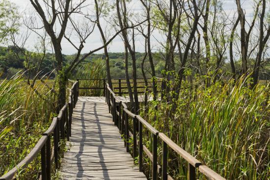 Parque Nacional Pre-Delta