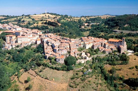 Scansano