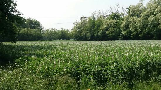 Consorzio Parco Alto Milanese