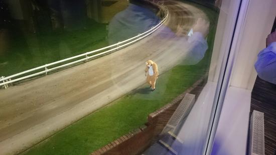 Shawfield Greyhound Stadium