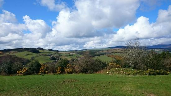 Avoca White Cross
