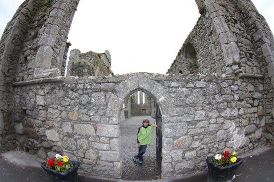 Castledermot Friary