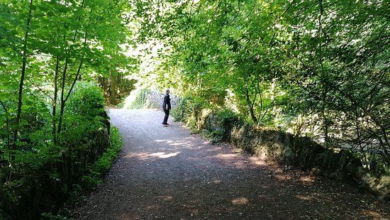 Deerpark Forest Park