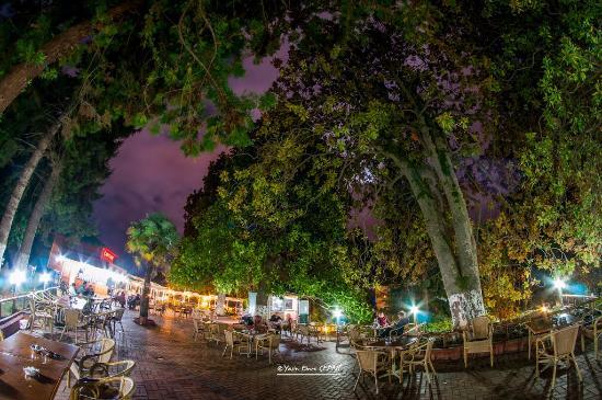 Ziraat - Botanik Cay Bahcesi