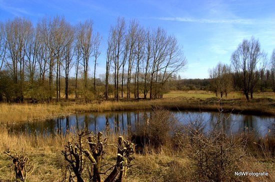 Natuurpark Lelystad