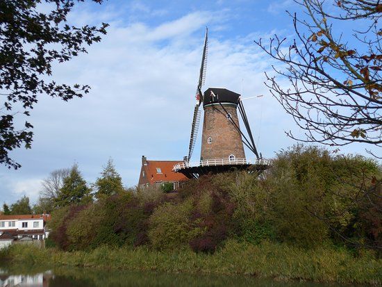 Molen de Koornbloem