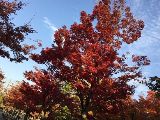 Parc Gyōsen