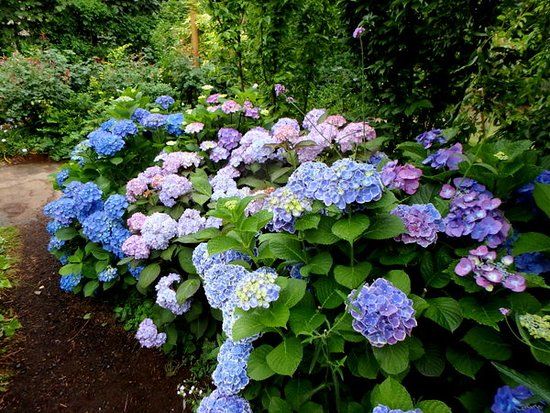 Yokohama English Garden