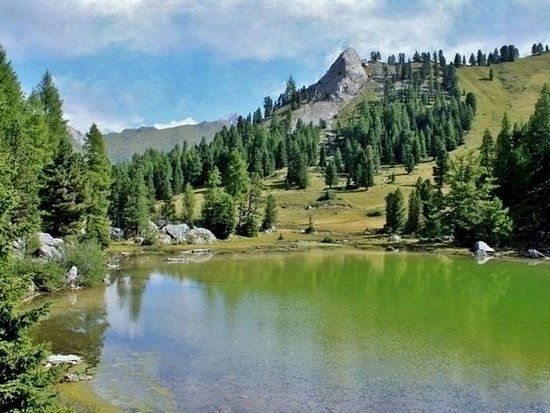 Lagusel