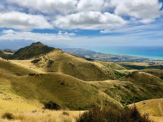Kaikoura Coastal Track