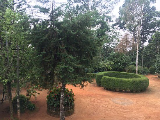 Cinnamon Gardens Spices Plantation