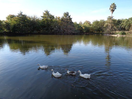 Parque Unzue