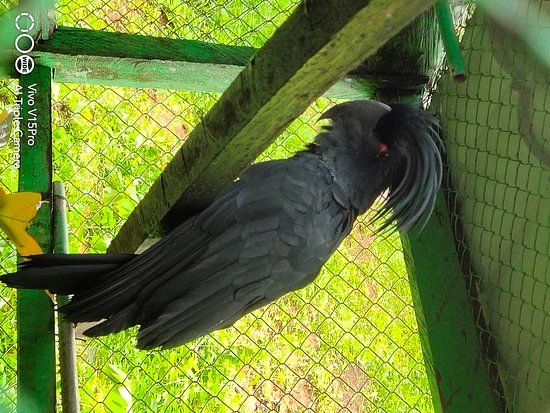 Aimas Bird Park