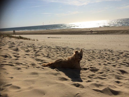 Plage de Contis les Bains