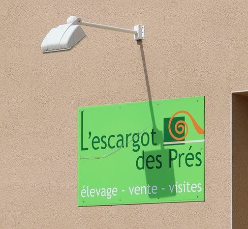 L'escargot des pres