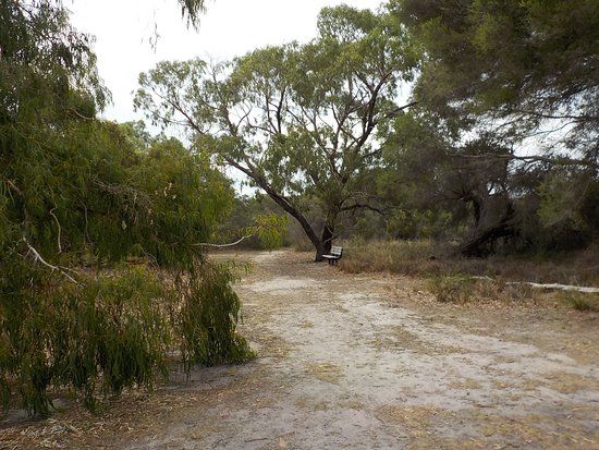 Belvedere Reserve