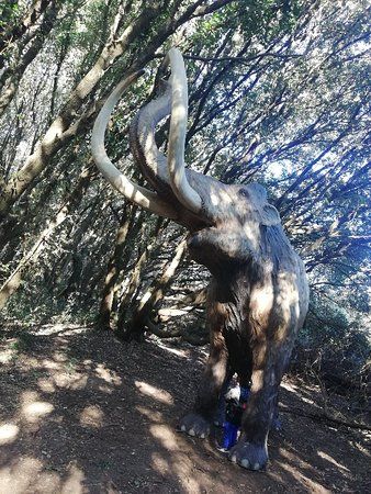 Dinosauri in Carne E Ossa