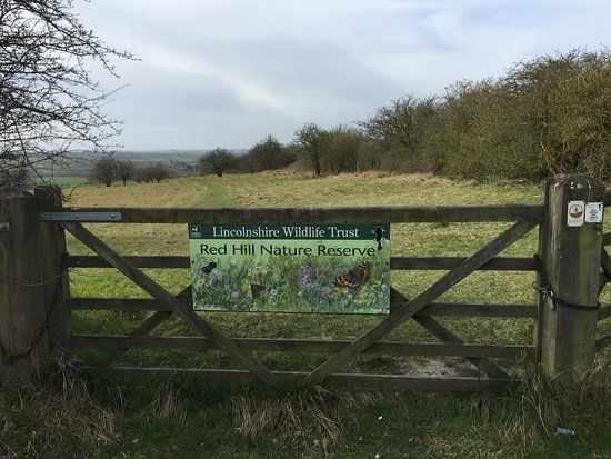 Red Hill Nature Reserve Louth