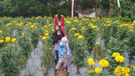 Narmada Botanic Garden