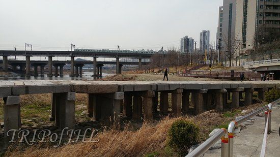 Salgoji Bridge
