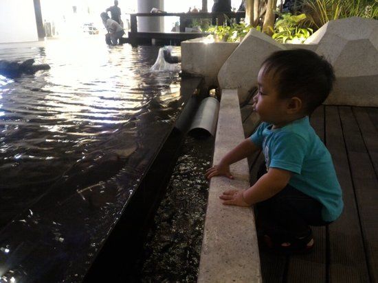 Nipah Mall
