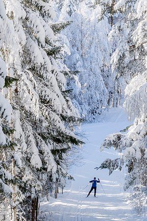 Hallsta ski