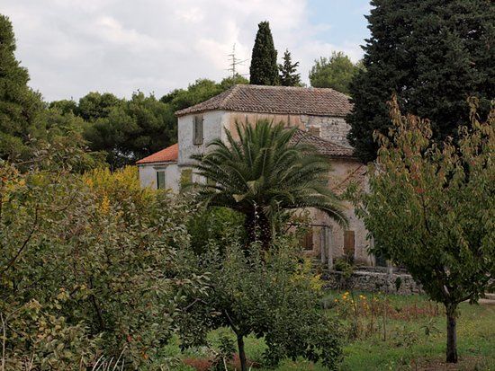 The Vrancic Mansion