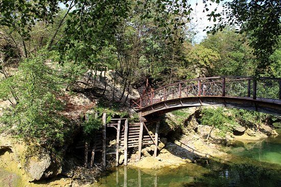 Kostelski buk