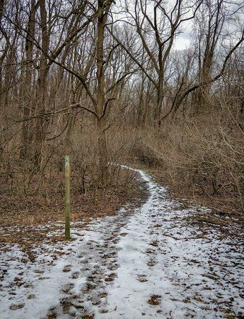 Homewood Nature Preserve